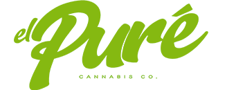 El Pure NY